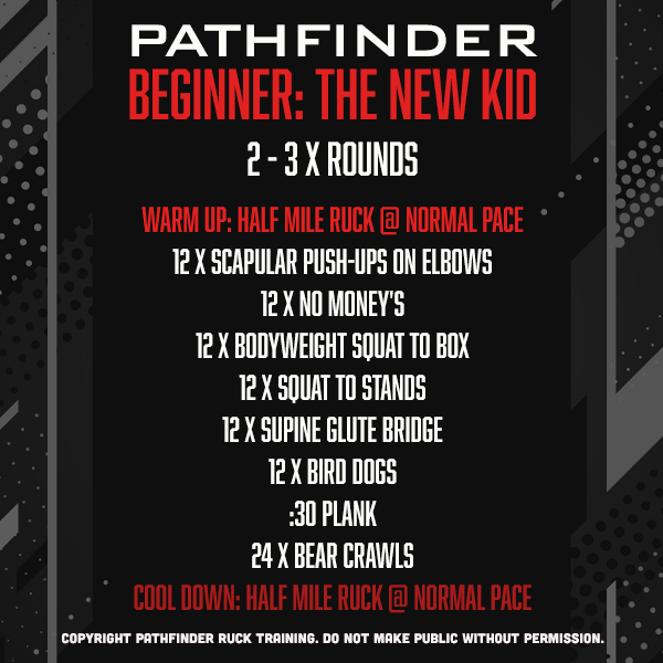 BEGINNER | THE NEW KID