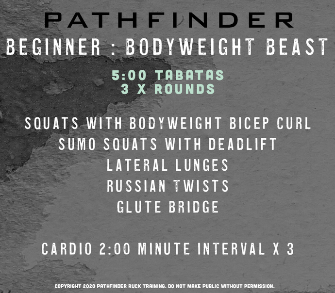 BEGINNER | Bodyweight Beast