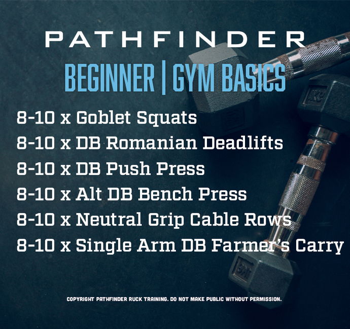 BEGINNER | Gym Basics