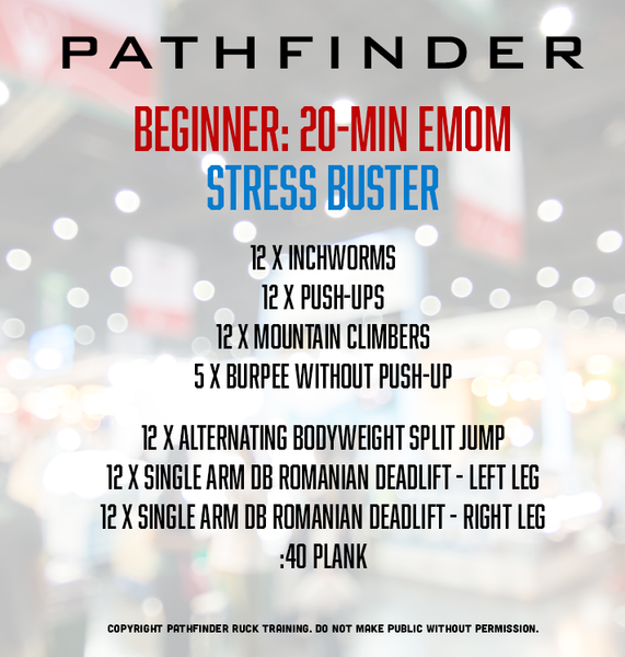 BEGINNER | 20 Minute Stress-Buster EMOM
