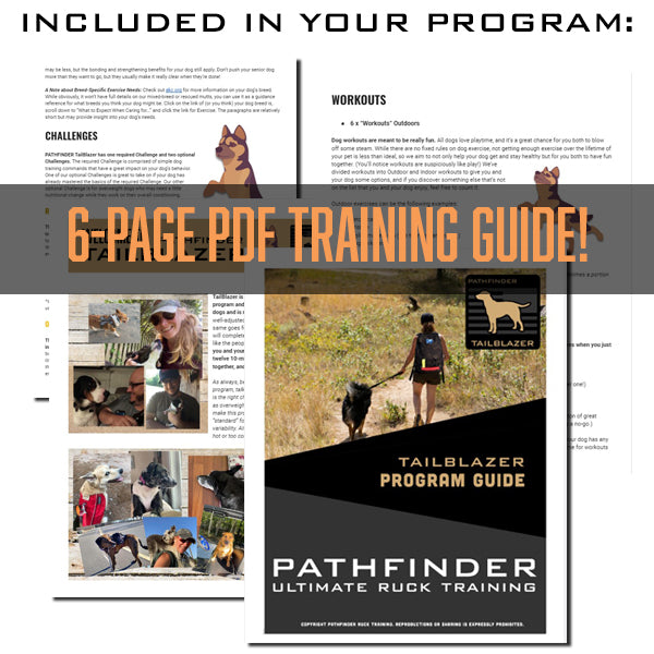 Ruck Your Dog - TAILBLAZER - For 4-Legged Companions – PATHFINDER Ruck ...